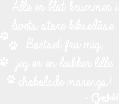 analsex for begyndere ordsprog og citater analsex for begyndere ordsprog og citater